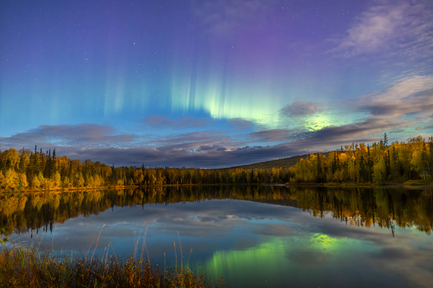 Fall Moonlit & Aurora